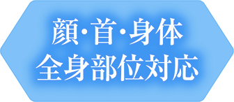 顔・首・身体 全身部位対応